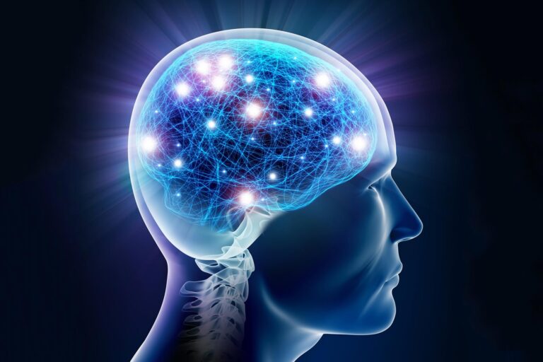 Human-Brain-Memories-Neurons